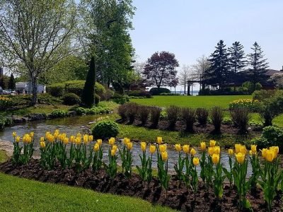 20180523-103822-largejpg